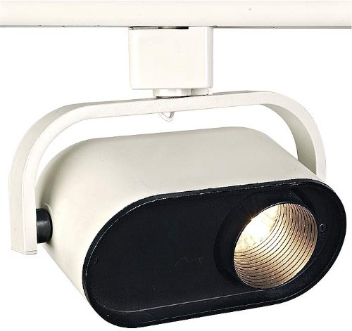 Lightolier White Finish