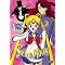 All the Sailor Moon DVDs