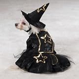 SMALL - LITTLE WITCH - Dog Halloween Costume
