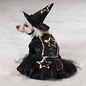 SMALL - LITTLE WITCH - Dog Halloween Costume