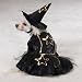 Pet Supplies : SMALL - LITTLE WITCH - Dog Halloween Costume