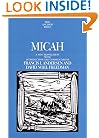 Micah (Anchor Bible)