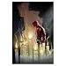 Daredevil: v. 3