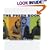 The Phish Book