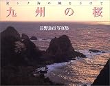 九州の桜―東シナ海の風をうけて (海鳥フォト・ブックス)/