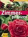 : Zimmerpflanzen
