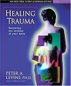 Healing Trauma (Sounds True Audio Learning Course)