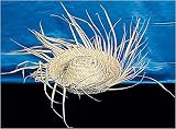Straw Beachcomber Hat