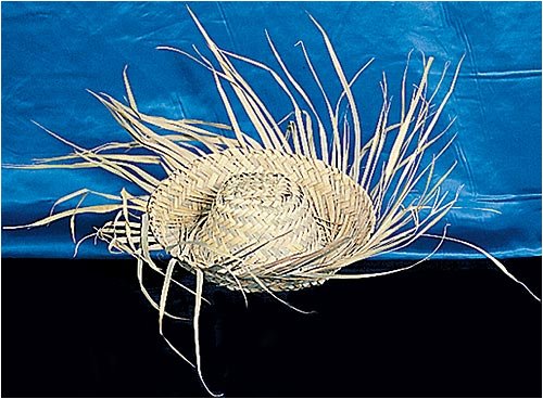 Childrens Toyshop  Sporting Goods : Straw Beachcomber Hat