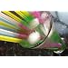 25 Party Drinking Straws - *Change Colour in Ice Cold Drinks! Like Magic!* Also on Amazon, in packs of 50, 100 and 200
