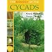 The Biology of the Cycads