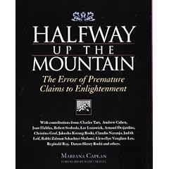 Halfway Up the Mountains: The Error of Premature Claims to Enlightenment