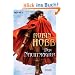 Der Nachtmagier: Roman