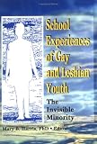 School Experiences of Gay and Lesbian Youth: The Invisible Minority (Journal of Gay & Lesbian Social Services Series, Vol 7, No 4) (Journal of Gay & Lesbian Social Services Series, Vol 7, No 4)