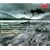 Mozart: The Wind Concertos /AAM * Hogwood