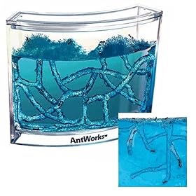The Ant Works Space-age Habitat