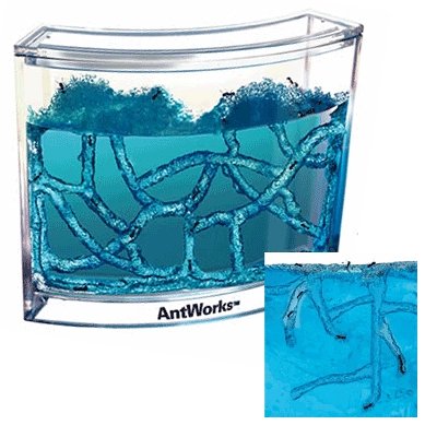 Buy The Ant Works Space-age Habitat online at Discounted New and Used prices. Delivered to your door with Childrens Toyshop.com