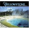 Yellowstone Impressions