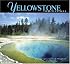 Yellowstone Impressions