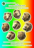 Lion: Flat-pack Head Model Book