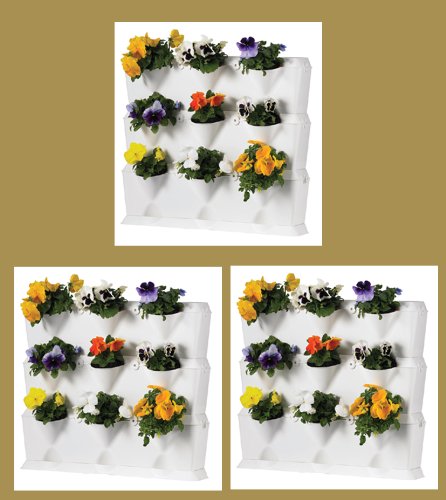 Minigarden® – 3er Set !! der Mini Garten für zu Hause- in Farbe Weiß Reviews