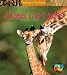 book cover for 9781403458940