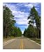 GET OUT OF TOWN Places Photographic Poster Print by Hear2heaL PhotoArt, 16x20
