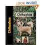 Chihuahua (Pet Love)