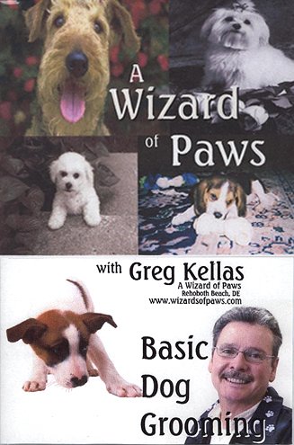 Basic Dog Grooming 101