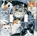 Just Cats! Switch Plate - Single Toggle