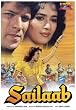 Sailaab [UK Import]