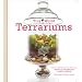 Tiny World Terrariums: A Step-by-Step Guide