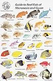 Fish Identification Cards - Micronesia and Guam - Guide to Reef Fish