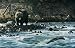 Search : Along the Yellowstone by Wilhelm J Goebel Art Print Poster 34 x 24