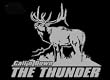 Calln Down the Thunder Upstream Images Silver Vinyl Wildlife Car Truck Window Decal Sticker