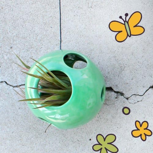 Raw Rutes - Ceramic Air Plant Pod (Green)