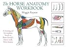 The Horse Anatomy...
