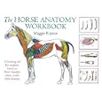 The Horse Anatomy Workbook (Allen Student) by Maggie Raynor