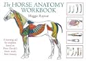 Horse Anatomy