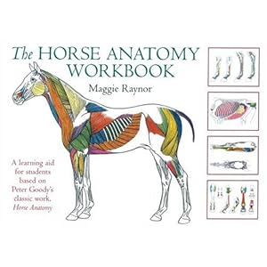 The Horse Anatomy Workbook: A Learning Aid for Students Based on Peter Goody's Classic Work, Horse Anatomy (Allen Student)