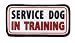 SERVICE DOG In Training Medical Alert 2.5 x 5 inch Sew-on Black Rim Patch