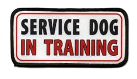 SERVICE DOG In Training Medical Alert 2.5 x 5 inch Sew-on Black Rim Patch