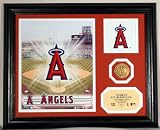 Los Angeles Angels of Anaheim Team Force Photo Mint