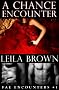 A Chance Encounter (Fae Encounters)