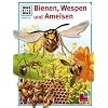 WAS IST WAS, Band 19: Bienen, Wespen und Ameisen WAS IST WAS, Band 19: Bienen, Wespen und Ameisen