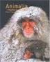 Animalia : Les mammif�res & les oiseaux du monde