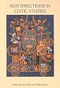 New Directions in Celtic Studies (South-West Studies)