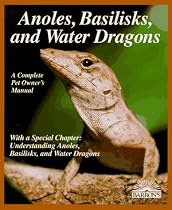 Anoles, Basilisks, and Water Dragons
