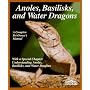 Anoles, Basilisks, and Water Dragons by Richard Bartlett