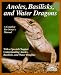 Anoles, Basilisks, and Water Dragons (More Complete Pet Owner's Manuals)
